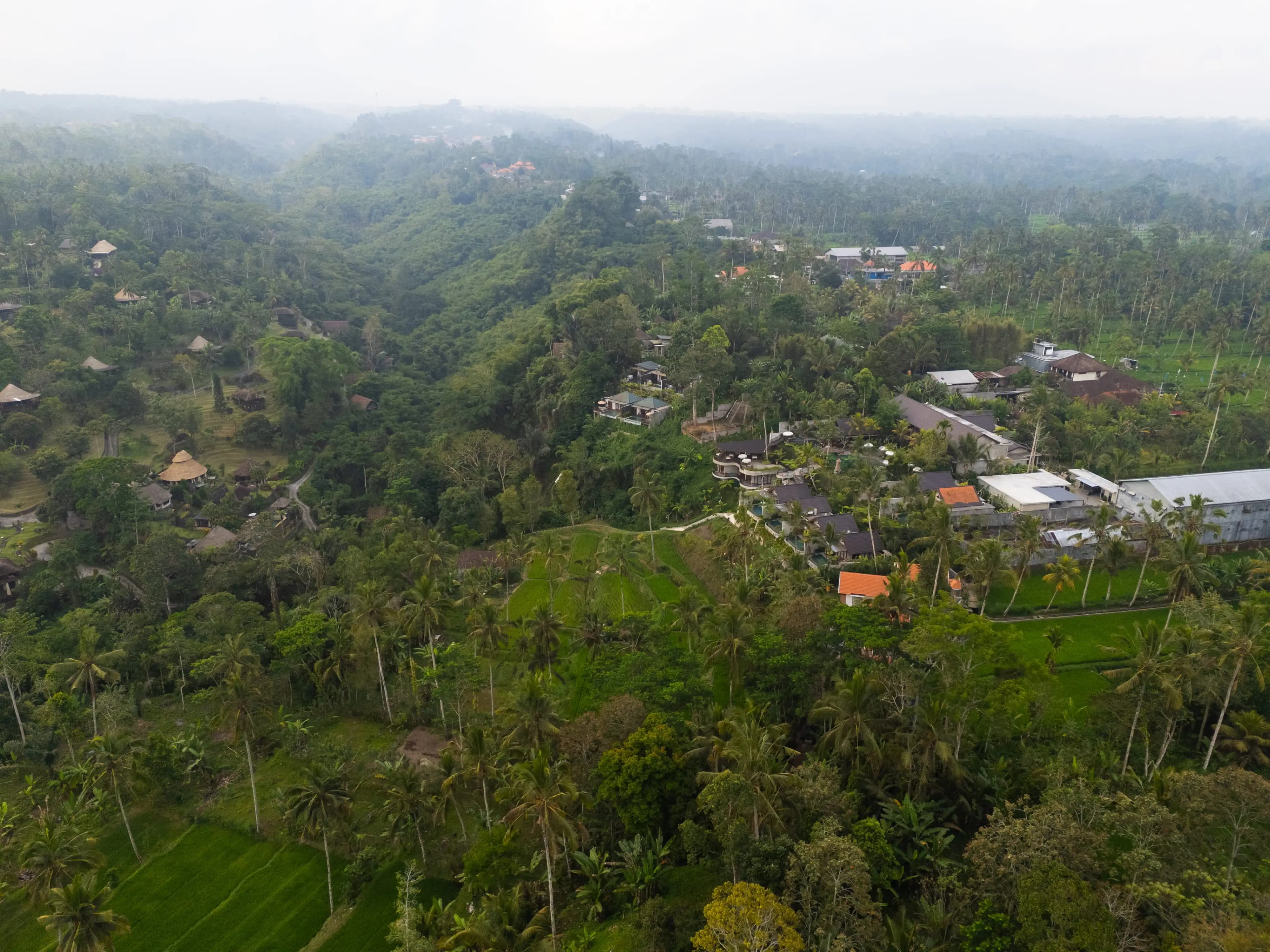 The highland terraces above Sebatu at first light