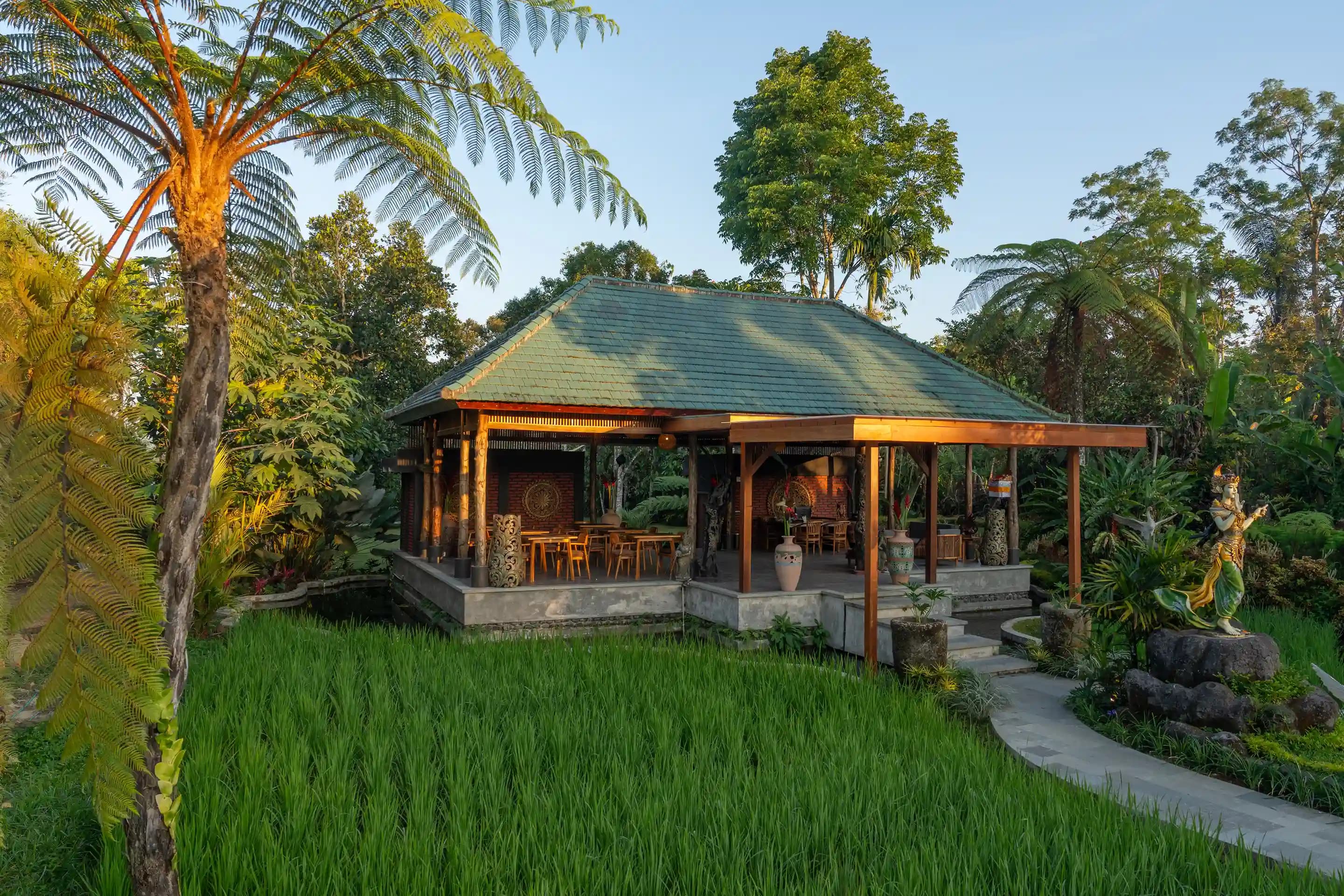 An open-air pavilion at TISS Valley, set among the rice fields