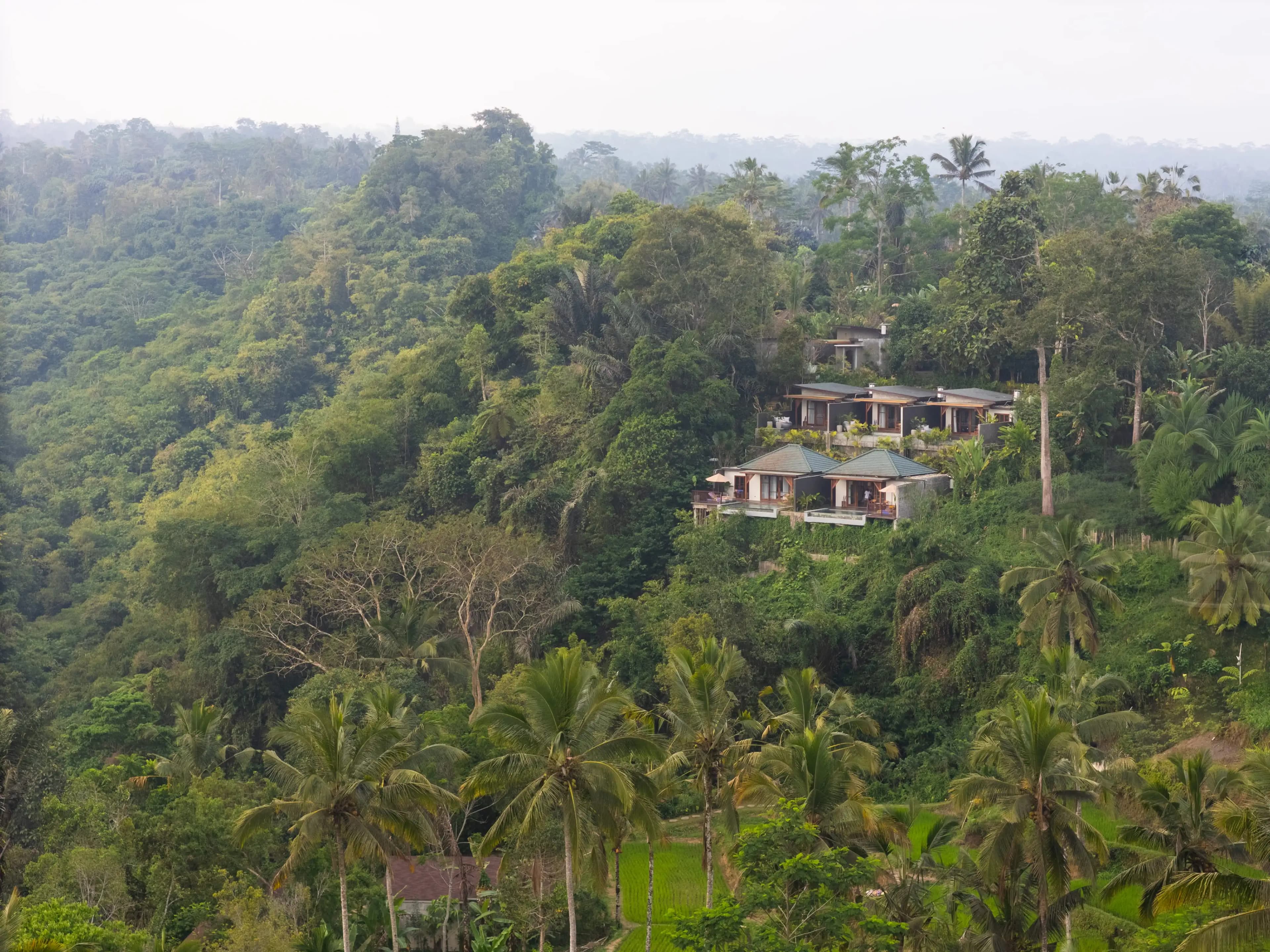 A pool villa set into the highland rice terraces
